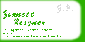 zsanett meszner business card